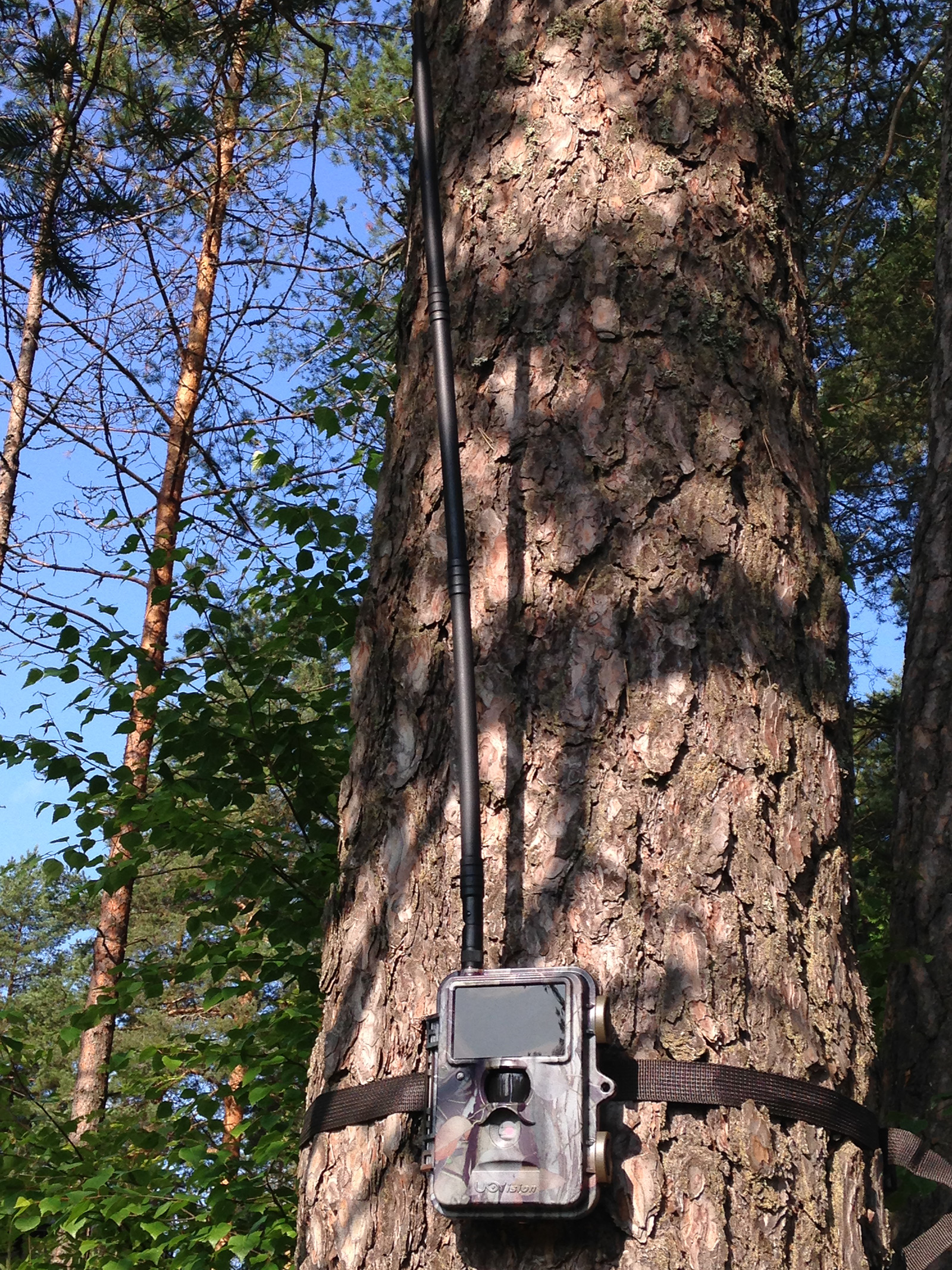 Uovision Tehomasto 70 cm lähettävään riistakameraan