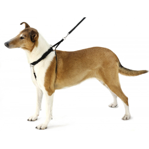 VIPStore Boogie vedonestovaljas, koko L