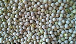 Riistaherne  25 kg                  Toim.Tapa NOUTO                                                              