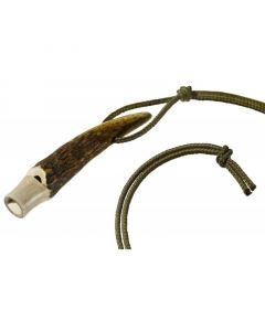 Rottumdale koirapilli