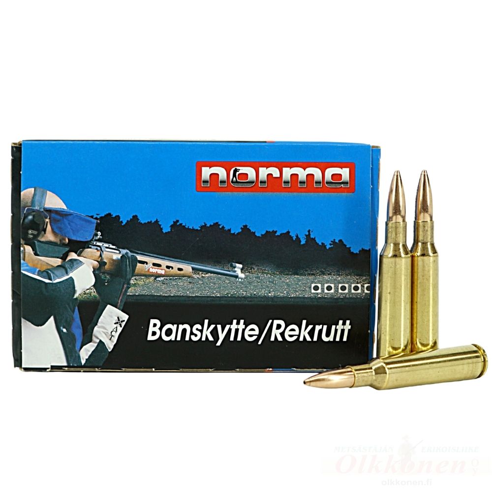 Norma 6,5x55 Banskytte 6,5g