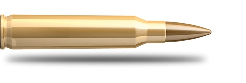 Sellier & Bellot .223 Rem 3,6 g FMJ                                                                           