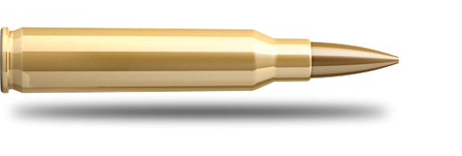 Sellier & Bellot .223 Rem 4,5g Sierra HPBT 20 kpl/rs