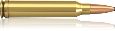 Norma .300 Win.Mag 11,7g Swift                                                                                