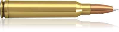 Norma .300 Win. mag 11,7g Nosler Accubond                                                                     