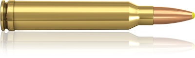 Norma .300 Win. mag plastspets   PPCD 11,7g                                                                   