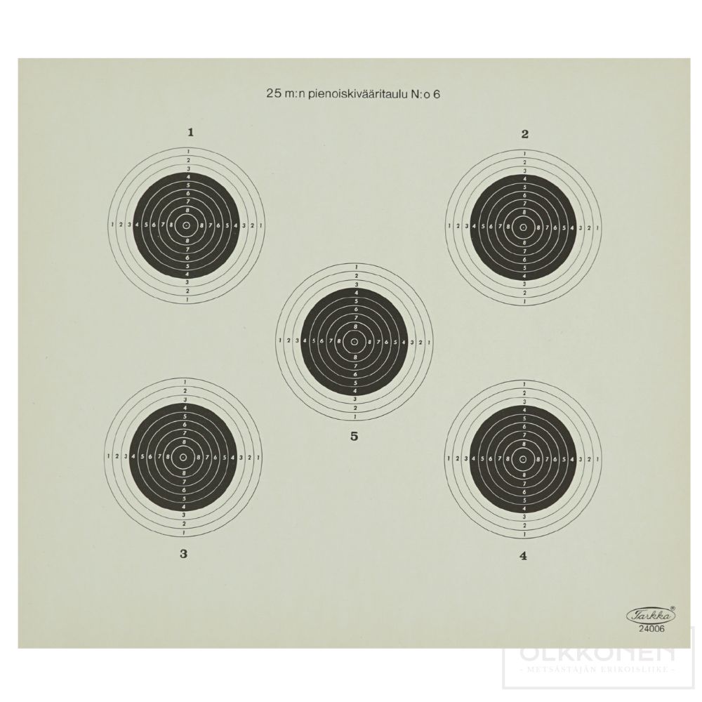 Pienoiskivääritaulu   25 metriä