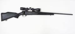 Weatherby Vanguard .22-250 rem synt.                                            