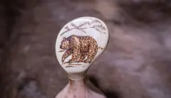 Visaluu kuksa 2-reikäinen   (karhu)     1 laatu