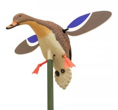 Mojo Baby Hen Motosorsa